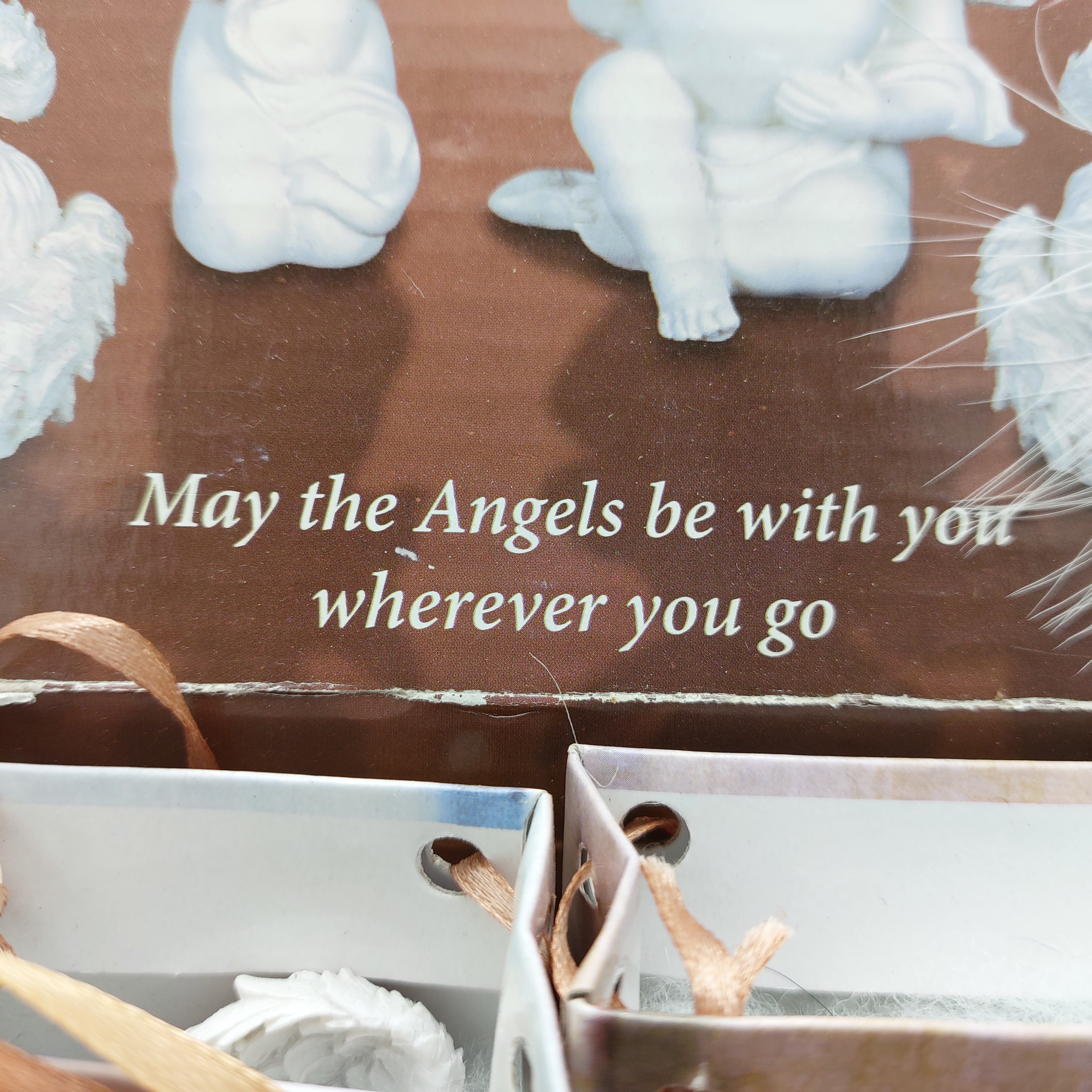 'Angels to go'