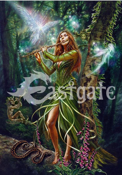 Wenskaart 'Faerie reel' van Briar