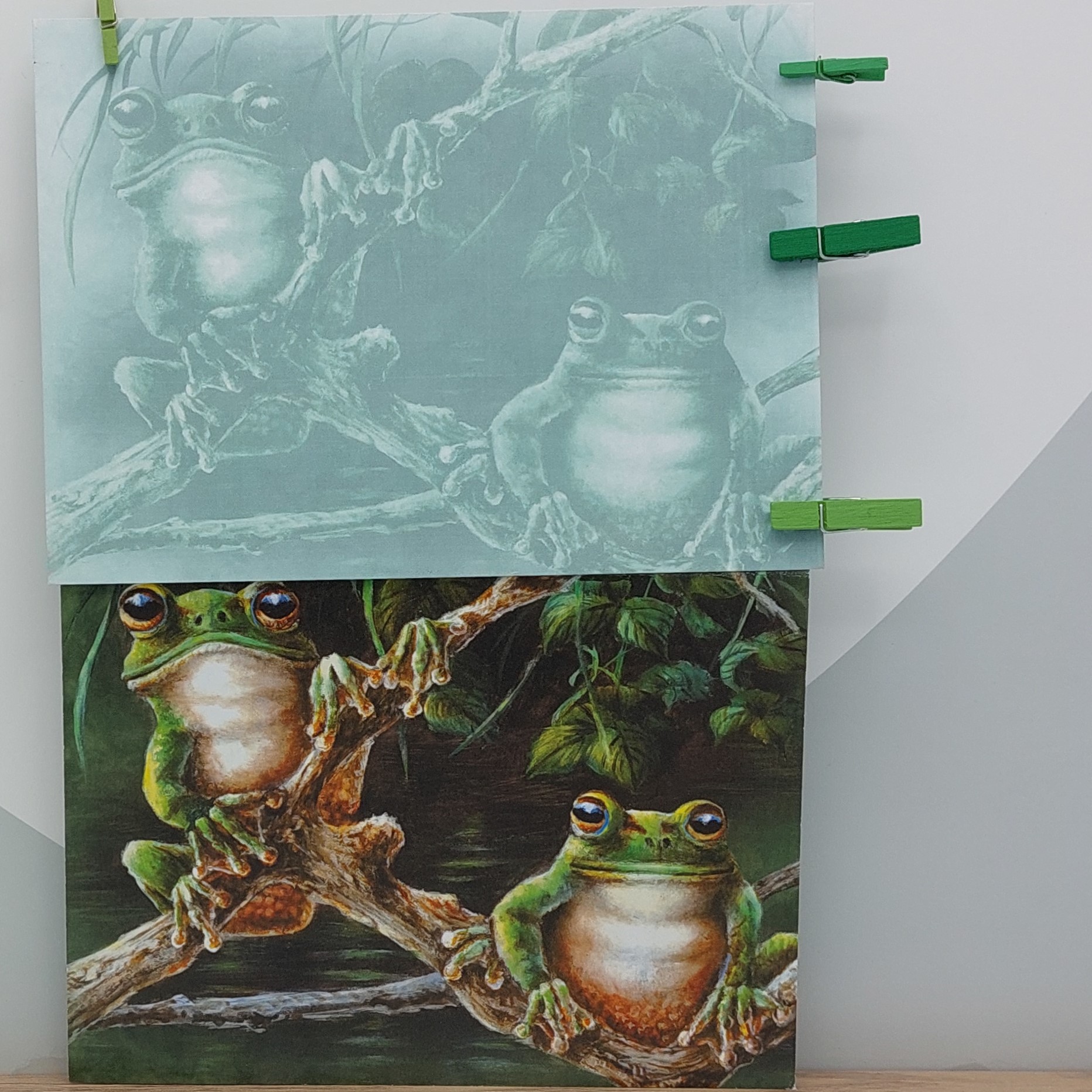 Wenskaart, '2 tree frogs'