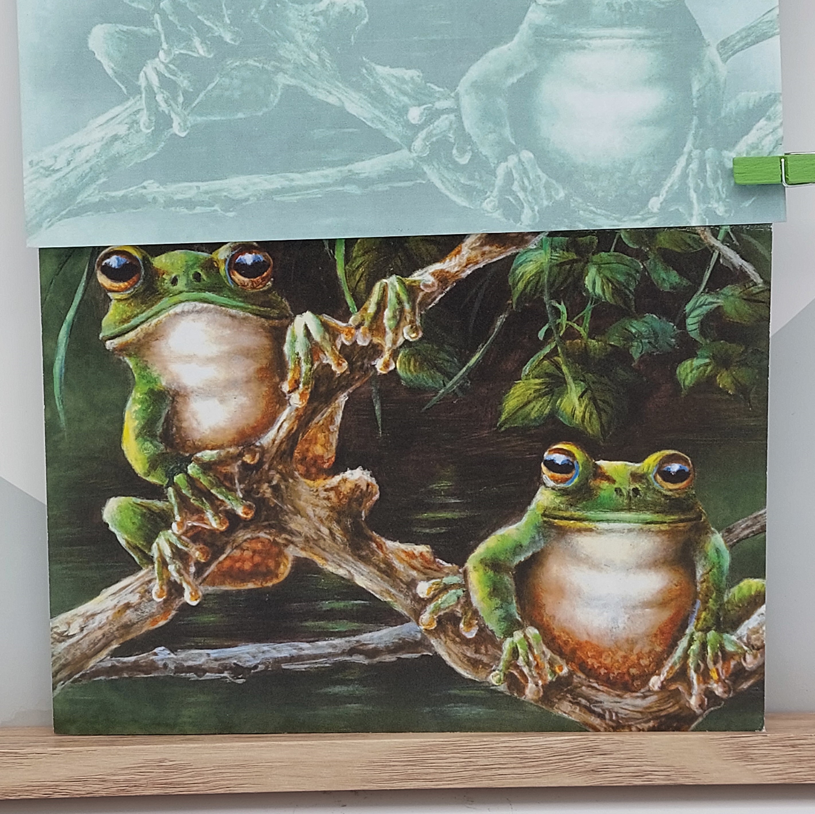 Wenskaart, '2 tree frogs'